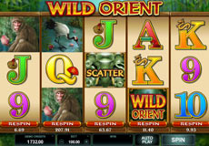 Wild Orient